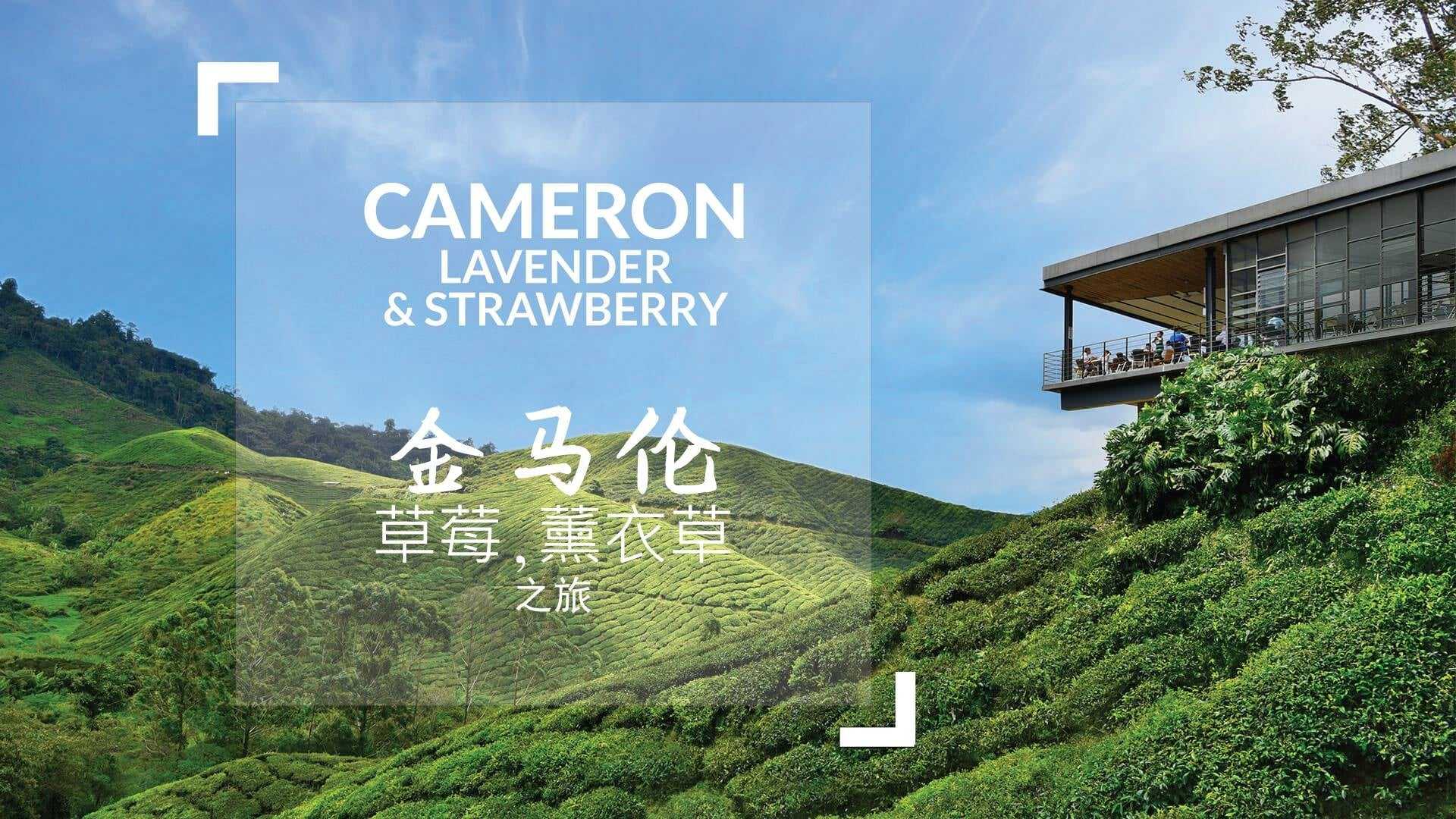 Cameron Highland 2D1N