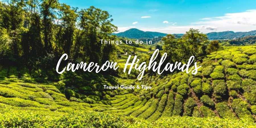 Cameron Highlands Day Tour