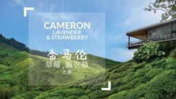 Cameron Highland 2D1N